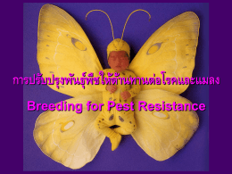 การปรับปรุงพันธุ์พืชให้ต้านทานต่อโรคและแมลง Breeding for Pest
