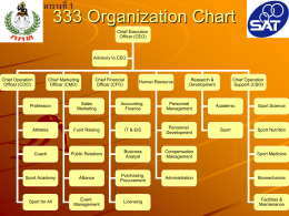 333 Organization Chart
