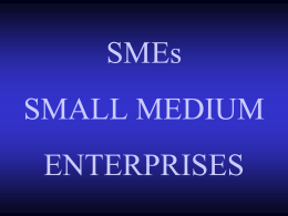 SMEs SMALL MEDIUM ENTERPRISES