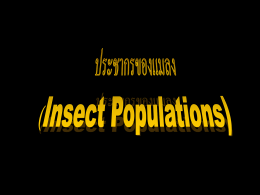ประชากรของแมลง - AGRI-MIS