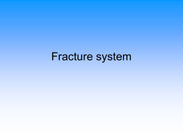 Fracture system