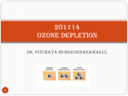 Effects of Ozone Depletion