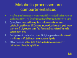 Metabolic processes are compartmentalized