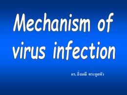บาดแผล รอยถลอก ไวรัสก่อโรคเริม Herpes simplex virus