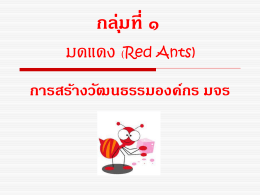 กลุ่มที่ ๑ มดแดง (Red Ants)