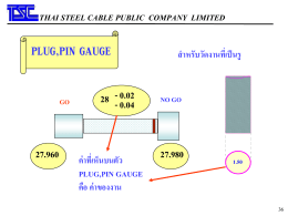 plug gauge - Thai Steel Cable PCL