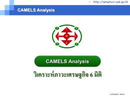 รายงานข้อมูล camel