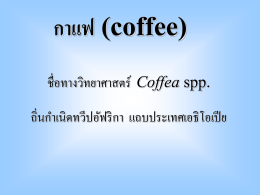 กาแฟ (coffee)
