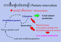 การฟื้นฟูแปลงหญ้า Pasture renovation