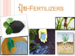 ปุ๋ย-Fertilizers