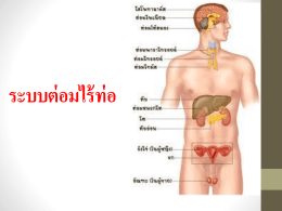 ระบบต่อมไร้ท่อ ต่อมไร้ท่อ ( endocrine gland ) - sumon