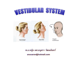 1. Vestibular system