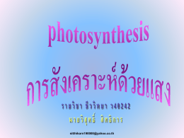 Photosynthesis 3 file
