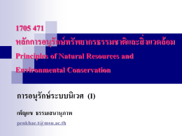 1705 471 ecosystem conservation1.
