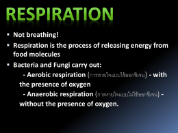 Anaerobic respiration