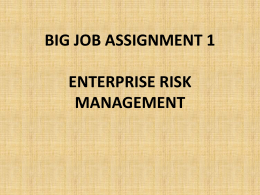 BIG JOB ASSIGNMENT 1 ENTERPRISE RISK MANAGEMENT