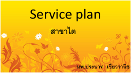 Service plan
