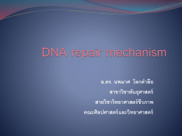 DNA repair mechanism