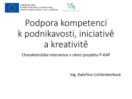 Podpora kompetencí k podnikavosti, iniciativě a kreativitě (formát pdf