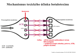 Mechanismus toxického účinku botulotoxinu