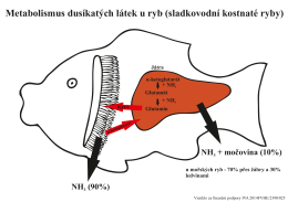 2.Metabolismus dusíkatých látek u ryb
