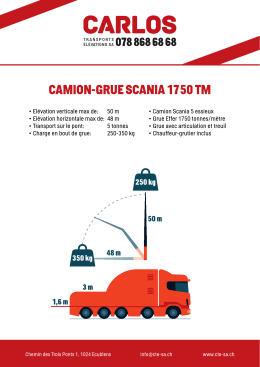 scania 1750 tm scan - Carlos Transports Elevations