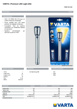 VARTA | Premium LED Light 2AA