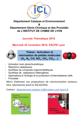 Télécharger le programme - Institut de Chimie de Lyon