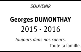 Georges DUMONTHAY