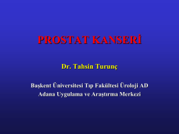 prostat tümörü