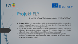 Projekt FLY