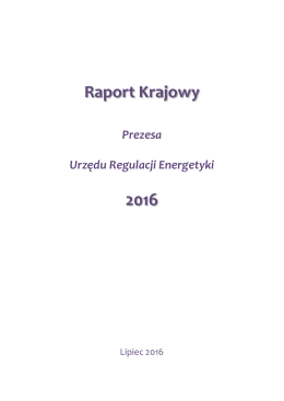 Raport Roczny Prezesa URE - 2016