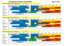 2016 - 2017 PLANNING GYMNASE AIGURANDE
