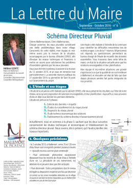 Schéma Directeur Pluvial