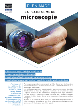 microscopie - Telecom SudParis