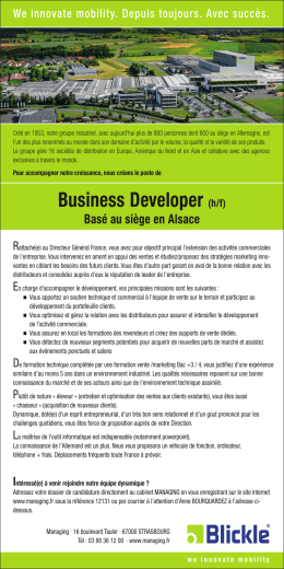 Business Developer pdf