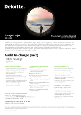 Audit In-charge