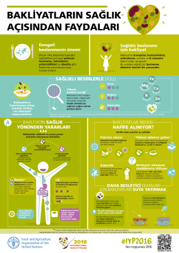 web_FAO-Infographic-IYP2016-3-Health Benefits of Pulses-tu