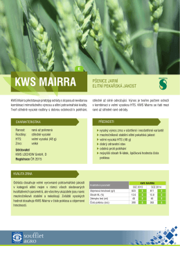 KWS Mairra - Soufflet Agro