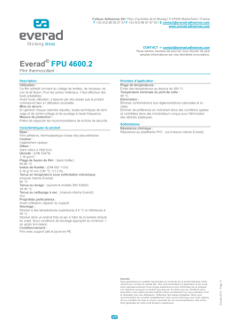 Everad FPU 4600.2