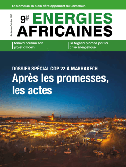 Cameroun - Energies Africaines