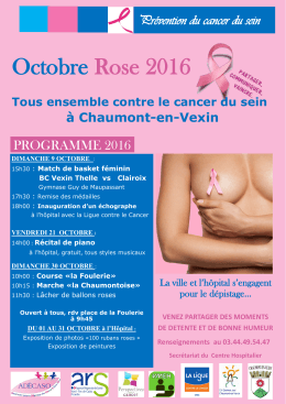 Octobre Rose 2016 - Mairie de Chaumont en Vexin