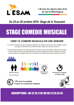 stage comedie musicale
