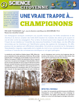 champignons - Partenariat innovation forêt