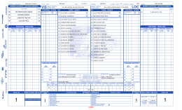 game sheet - Ligue Elite du Richelieu AA