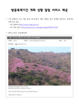 Page 1 벚꽃축제기간 개화 상황 알림 서비스 제공 구청 홈페이지 또는