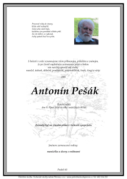 Antonín Pešák - Pohřební služba