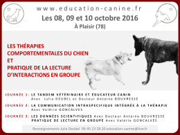 ftc 8 9 et 10 oct 2016 - éducation canine à domicile et en groupe 78