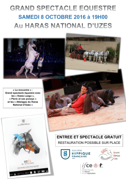 AFFICHE SPECTACLE 2016