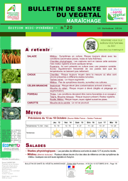 bulletin de sante du vegetal - DRAAF Languedoc